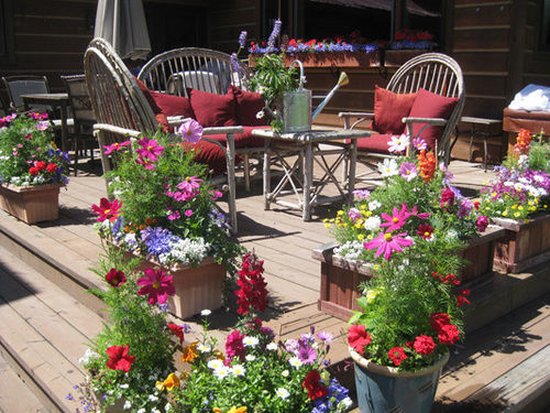 Teton View Bed And Breakfast Уилсон Экстерьер фото